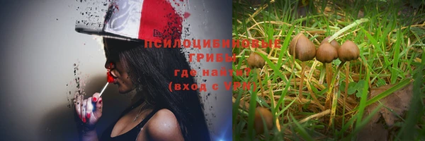 индика Алзамай