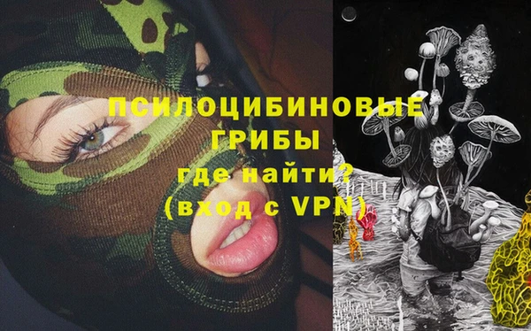 индика Алзамай