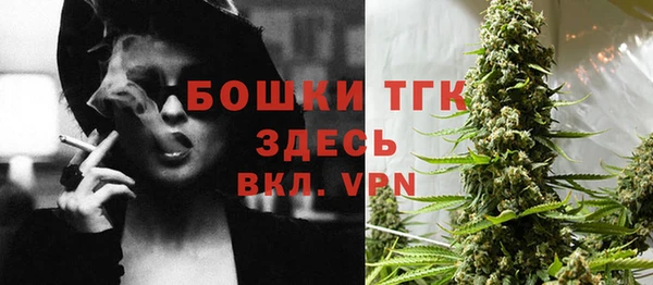 сатива Абаза