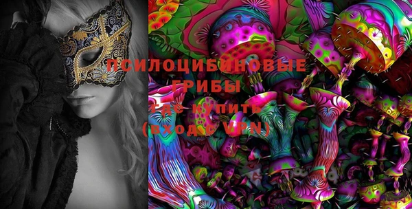 соль курить ск Алексеевка
