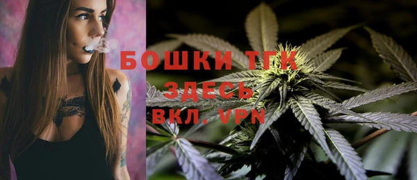 PSILOCYBIN Рославль