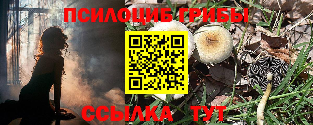 Клинцы  цены наркотик  Вход с VPN  Галлюциногенные грибы Cubensis 